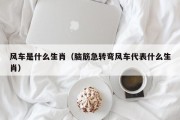 风车是什么生肖（脑筋急转弯风车代表什么生肖）