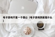 电子游戏只是一个借口（电子游戏到底是什么）