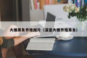 大棚黑鱼养殖图片（温室大棚养殖黑鱼）