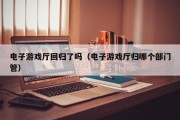 电子游戏厅回归了吗（电子游戏厅归哪个部门管）