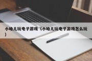 小哈儿玩电子游戏（小哈儿玩电子游戏怎么玩）