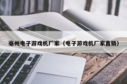 亳州电子游戏机厂家（电子游戏机厂家直销）