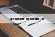 清远白鸽养殖（养殖白鸽场公司）
